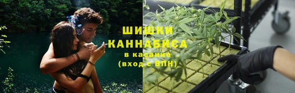 стафф Горно-Алтайск