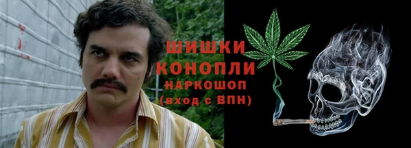 первитин Горняк