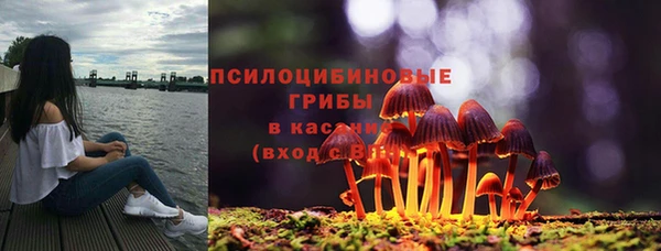 Альфа ПВП Волоколамск