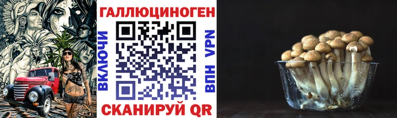 мега   Заволжск  Галлюциногенные грибы прущие грибы 